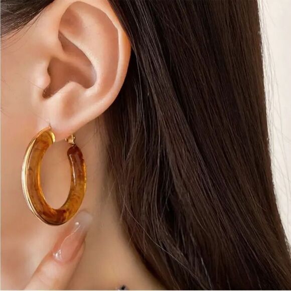 Elegant Brown Hoop Earrings N945 - Picture 1 of 4
